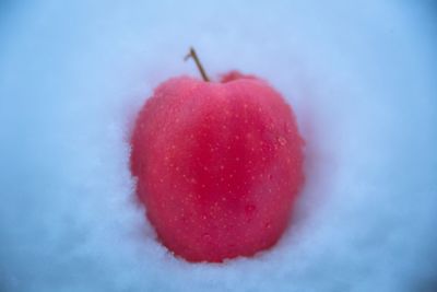 Close-up of apple