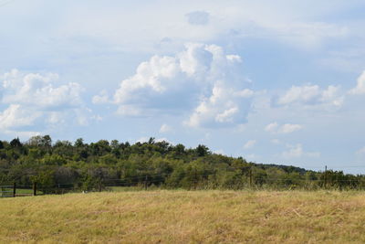 Scenic view of field against cloudy sky
