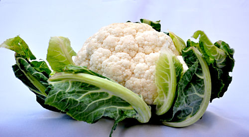 Close-up of cabbage against white background