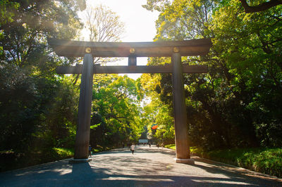 Footpath in park