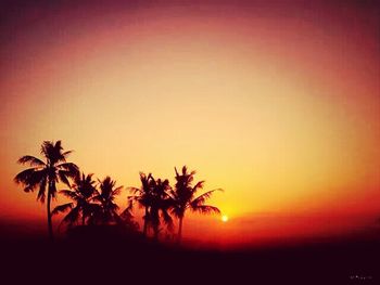 Silhouette palm trees at sunset