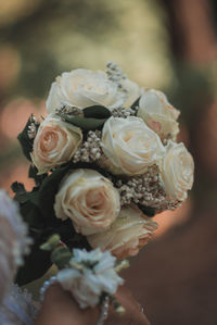 Close-up of rose bouquet