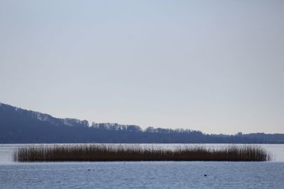 Scenic view of lake against clear sky during winter