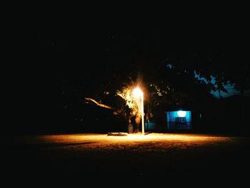 Illuminated tree at night