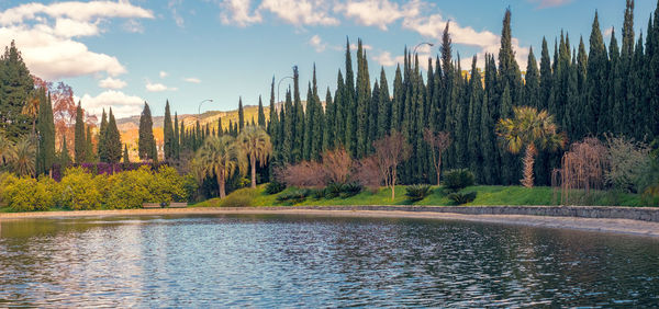 The lake from conception garden, jardin la concepcion in malaga, spain