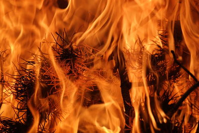 Close-up of bonfire