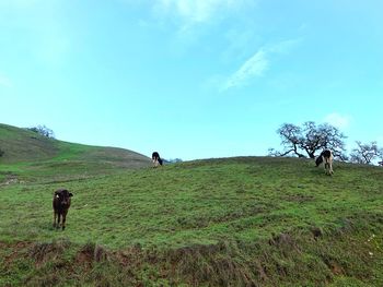 People walking on grassy field against sky