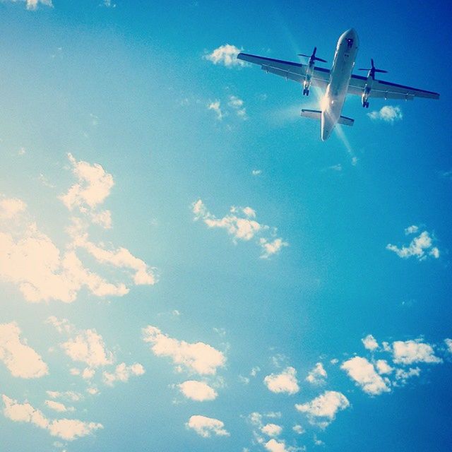 flying, airplane, mid-air, blue, animal themes, low angle view, air vehicle, wildlife, sky, animals in the wild, spread wings, bird, flight, cloud - sky, on the move, mode of transport, aircraft wing, nature, one animal, travel