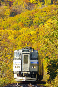 Train on field during autumn