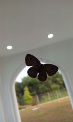 Close-up of lighting equipment on wall