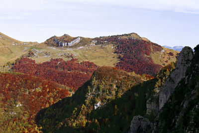 Sudtirol malga hiking trail in autumn foliage, trentino, trento, italy