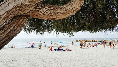 People enjoying at beach