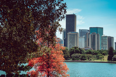 Trees by building against sky during autumn