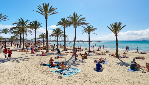 Group of people on beach