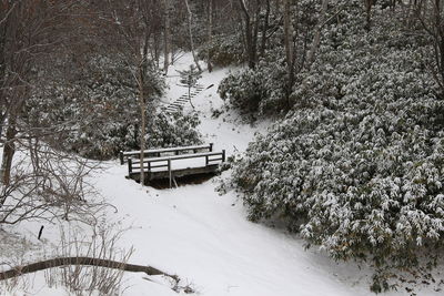 Snow covered land by trees during winter