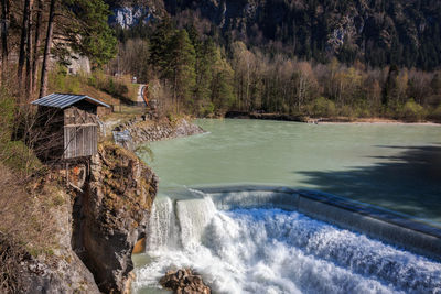 Scenic view of river flowing in forest