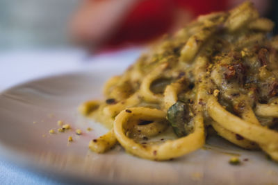 Close-up of meal served in plate