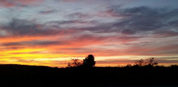 Silhouette trees against sky during sunset