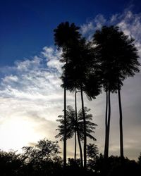 Silhouette trees against sky during sunset