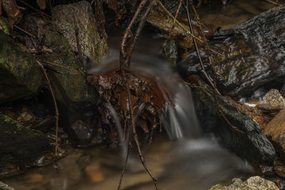 Close-up of water flowing through rocks