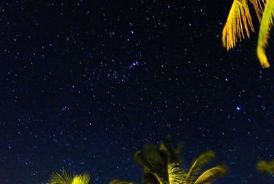 Low angle view of stars against sky at night