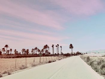 Road amidst trees on field against sky