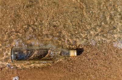 Directly above shot of abandoned bottle on shore