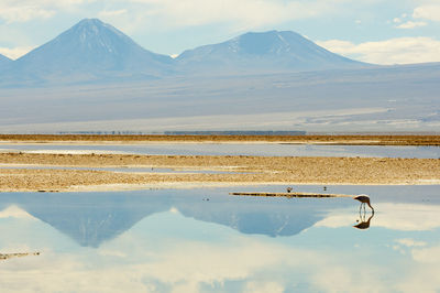 Scenic view of lake by mountains against sky