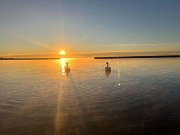 Lake hore sunrise 