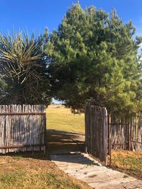 Trees growing on field by fence against sky