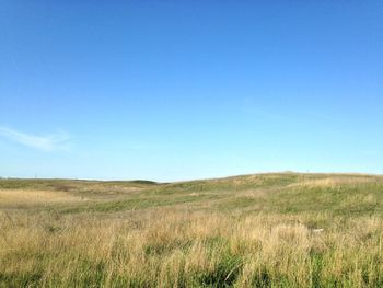 Scenic view of grassy field against blue sky