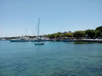 Sailboats sailing in sea against clear blue sky