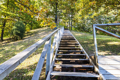 Low angle view of staircase