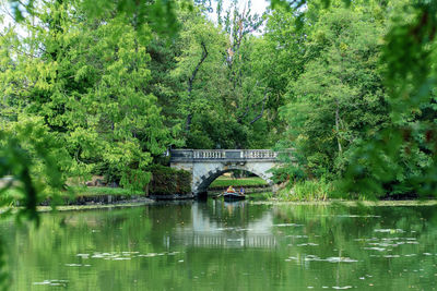 Bridge over lake in forest