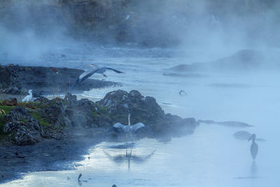 Scenic view of sea during winter