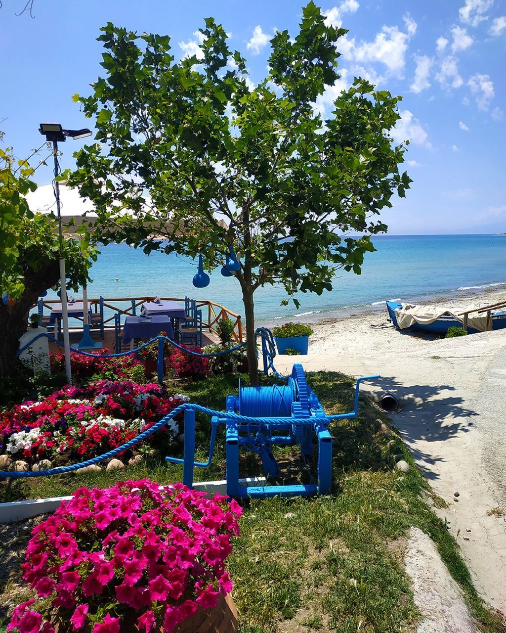 SCENIC VIEW OF SEA AND PLANTS ON BEACH