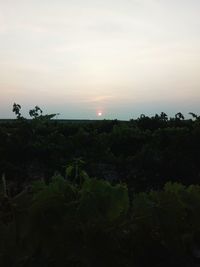 Scenic view of landscape against sky at sunset