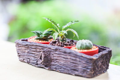 Close-up of fruits in basket on table