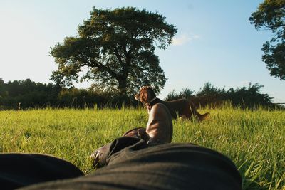 Low section of person standing on grassy field