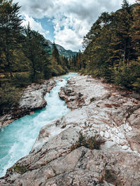 Stream flowing through rocks in forest against sky