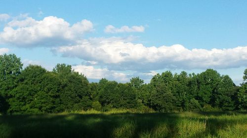 Scenic view of green landscape against sky