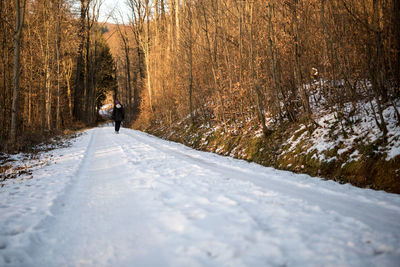 Rear view of woman walking on snow covered road in forest