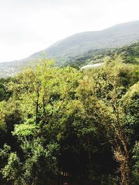 Scenic view of mountains