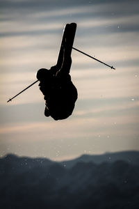 Close-up of silhouette bird against sky at sunset