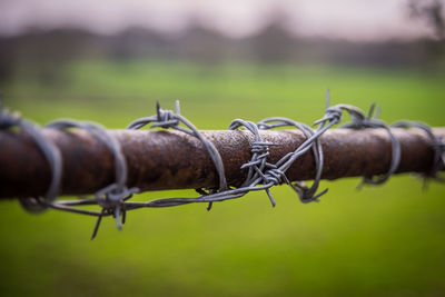 Close-up of barbed wire fence on field