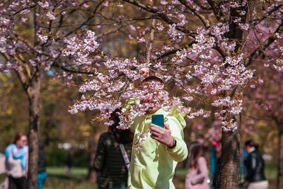 Low angle view of pink cherry blossom tree