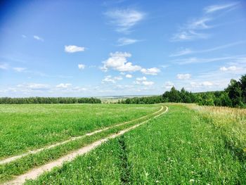 Scenic view of agricultural field against sky