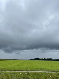 Scenic view of agricultural field against sky