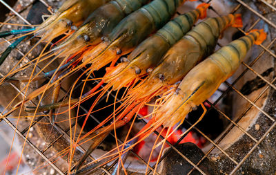 Grilled prawn on charcoal grill. giant freshwater prawns grill on a flaming charcoal fire. 