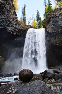 Scenic view of waterfall in forest